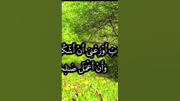 سورة الأحقاف القرآن الكريم #ليك#اكسبلور #كمنت #شير