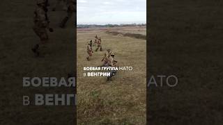 Многонациональная боевая группа #НАТО в Венгрии усердно трудится на восточном фланге нашего союза!