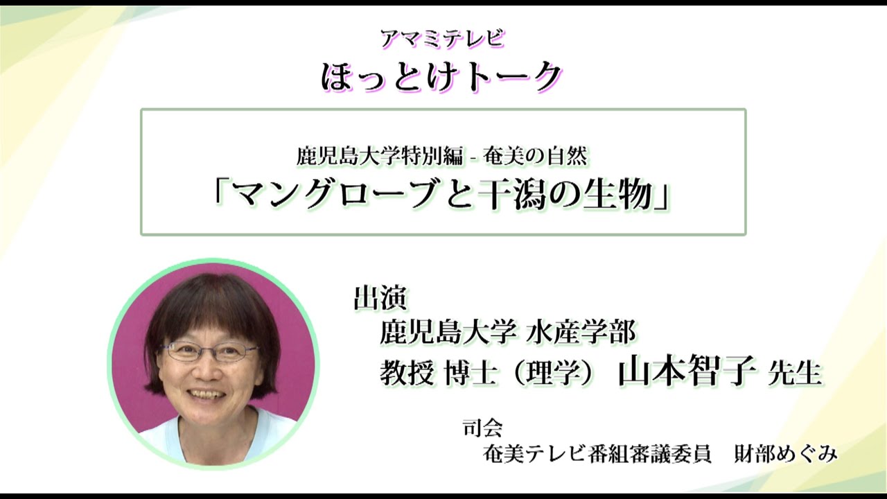奄美テレビ 鹿児島大学 マングローブと干潟の生物 Youtube 奄美テレビ 鹿児島大学 マングローブと干潟の生物 Youtube