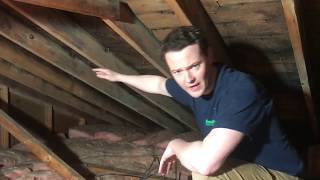 There's Mold in my Attic!  What Caused it and How Insulwise Solves it.