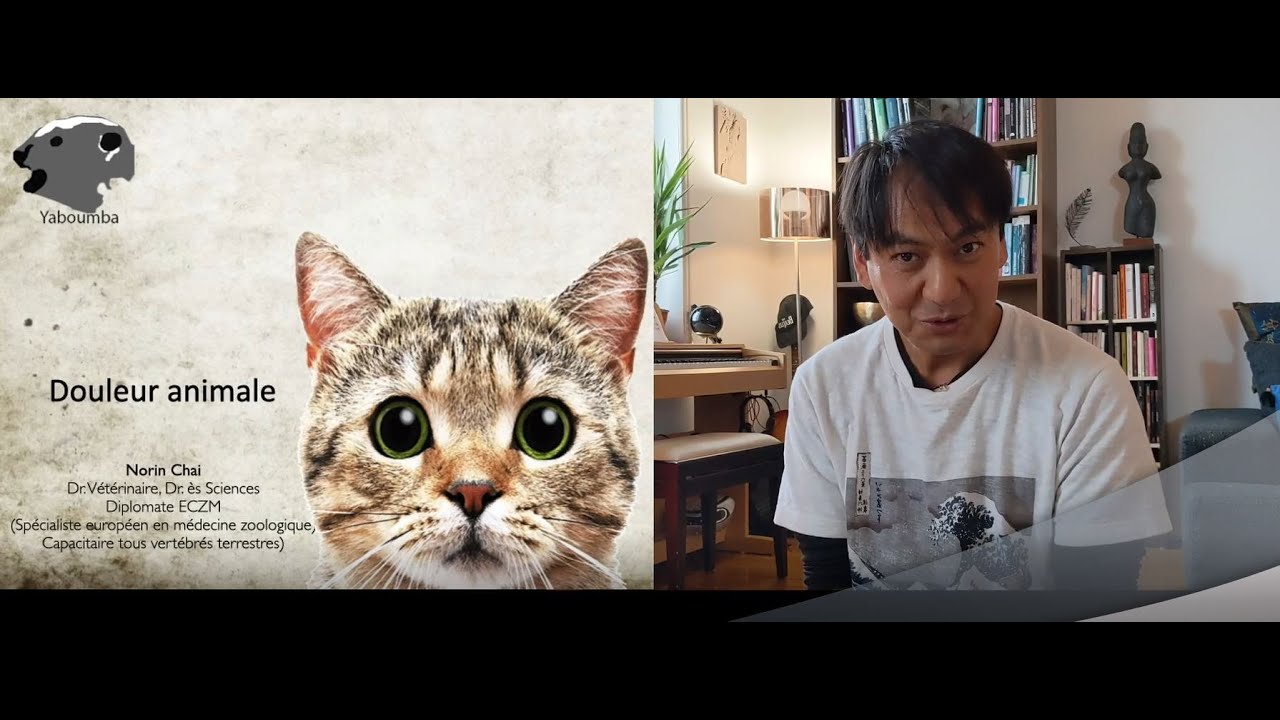 Congrès Pet Revolution (éd. 2020) : Norin Chaï - Douleur animale