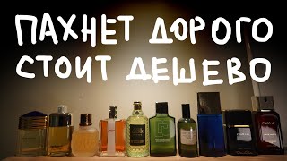 картинка: 10 ДЕШЕВЫХ ПАРФЮМОВ ЛУЧШЕ ДОРОГИХ