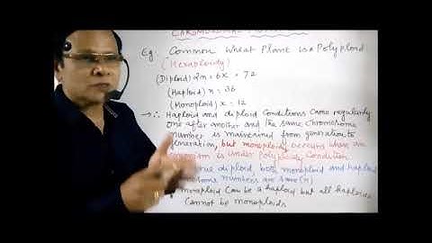 XII Bio Botany and Botany Chapter 3 Chromosomal basis of inheritance Mutation  IV Euploidy  Video