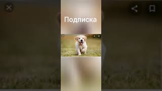 За кого ты?