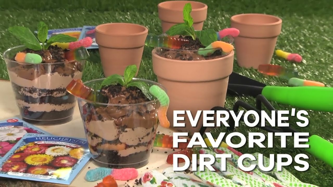 Everyone's Favorite Dirt Cups