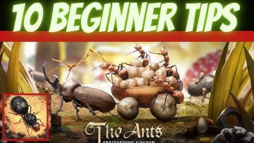 10 Best tips for beginners in The Ants underground kingdom, at lest good tips