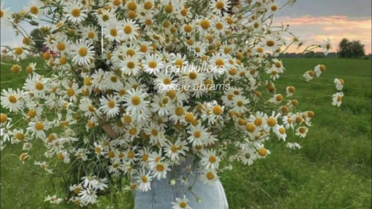 painkillers - gracie abrams (slowed down) painkillers - gracie abrams (slowed down)