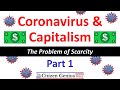 Coronavirus and Capitalism Part 1: The Problem of Scarcity