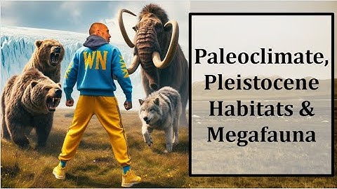 Geology Unit 3 -  Notes 4-5: Paleoclimate, Pleistocene Habitats and Megafauna EDUCATIONAL
