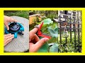 Cool Garden Gadgets You Should Have Amazing 1st