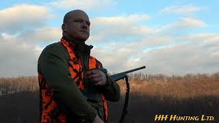 Driven wild boar hunting in Hungary \