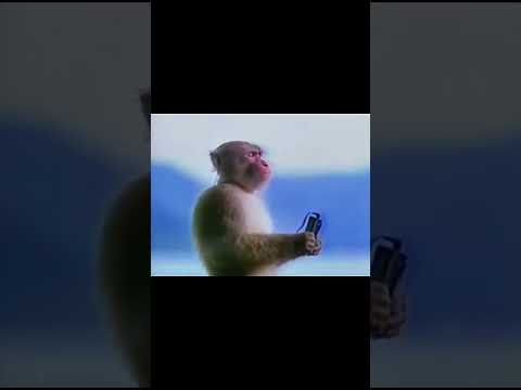 انقر انقر لابوبو لابوبو اشتراك بالقناة اكسبلور  لايك دويتو