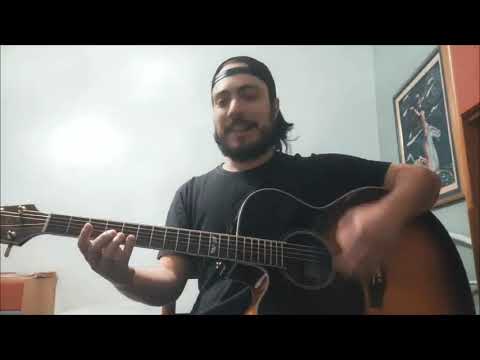 Bush - The Land Of Milk And Honey (acoustic cover)