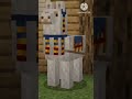 Minecraft, Tapi aku nggak boleh sentuh warna putih,  jika aku sentuh warna putih, videonya mundur