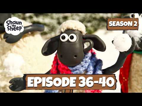 Shaun the Sheep Season 2 Episode 36-40 | Back to School 🔔🚌
