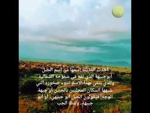 مملكة المانجو السودانية أبو جبيهة السودان الطبيعة الفواكه الاقتصاد 