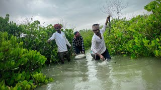 আজ ঝড় বৃষ্টি মাথায় নিয়ে সুন্দরবন জঙ্গল থেকে 🦀🦀কাকড়া ধরলাম@SUNDARBANCIRCLE-dx9gg