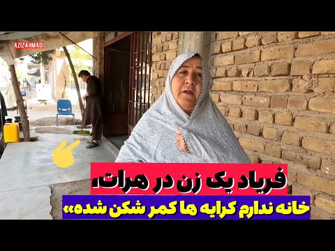 ۳ماهه خانه پیدا نمیکنه کرایه خانه در هرات سر به فلک کشید