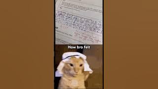 Live footage of bro💀Subscribe for daily vids!#egypt #cat #memes #youtubeshorts