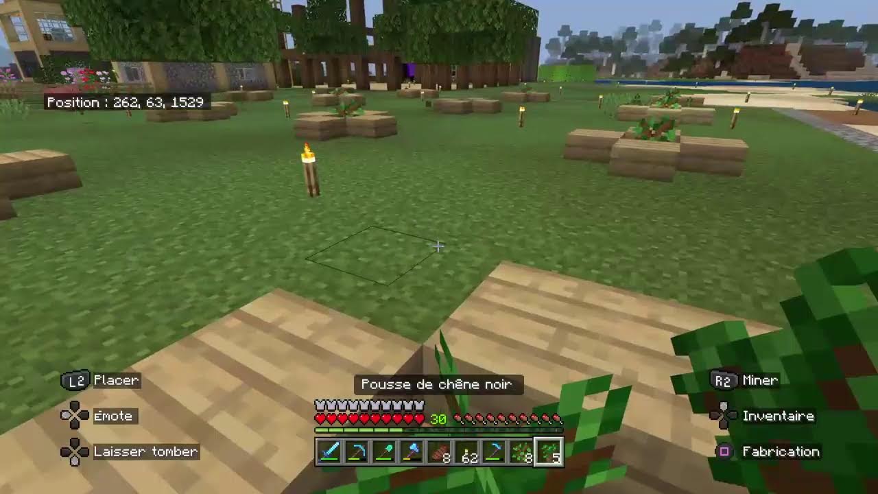 Ep6 pt3, On stylise le royaume