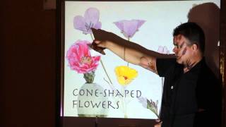 How to Draw Wildflowers by John Muir Laws