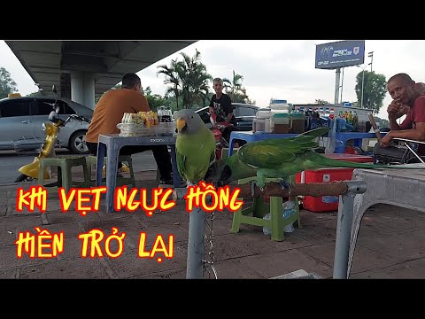 Thời điểm nào