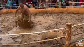 12 De Março De 2023 Pega De Porco No Pé De Serra