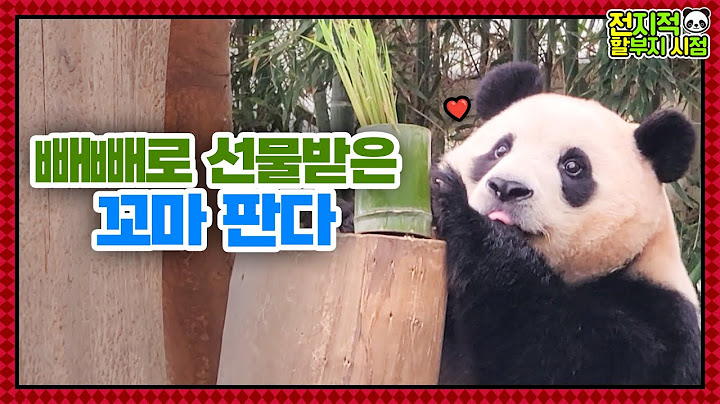 (SUB) Kid Panda Received Pepero Bamboo Shoots🐼│Panda Family