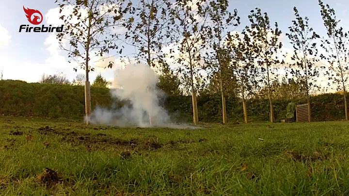 Shooting Star Targets for Rabbit Clays
