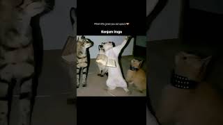 🤠🤠#AnimalMovement#Nature #WildlifeInAction#TamilNature#tamil #ReelsInstagram#TrendingNow