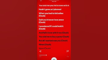 Thumbnail of Hidden in the sand - Tally Hall