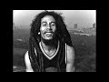 [FREE] bob marley *reggae* type beat - 