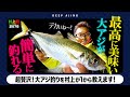【村上的】#076 最高に美味しいデカアジの釣り方！イチから教えます！【ディープアジング入門】