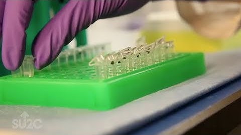 Where Your Money Goes: SU2C Epigenetics Dream Team Progress Report