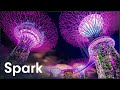 Constructing Iconic Elaborate Gardens In Singapore | Megastructures: Gardens By The Bay | Spark