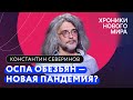 Оспа обезьян: как передается, как лечить и что будет, если придет в Россию / Константин Северинов