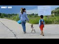 Smart Monkey Kako Walking Follow Mom And Brother To Play At Field