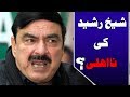 LHC Announced Judgement In Sh Rasheed’s Disqualification Petition