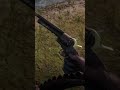 RDR 2-High Honor Guns|      #shorts #rdrd2 #gaming