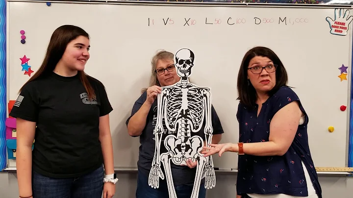 Skeletal System Song