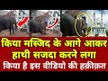Masjid Ke Aage Hathi Q Sajda Kar Raha Hai Kiya Hai Haqiqat Dekhen  Viral Vedio Hathi @Muslim_Tak