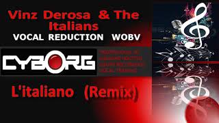 READ DESCRIPTION - Vinz Derosa & The Italians   L'italiano Remix KARAOKE VR WOBV