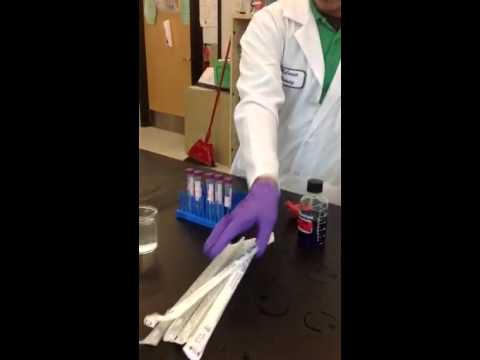 Serial dilution demo