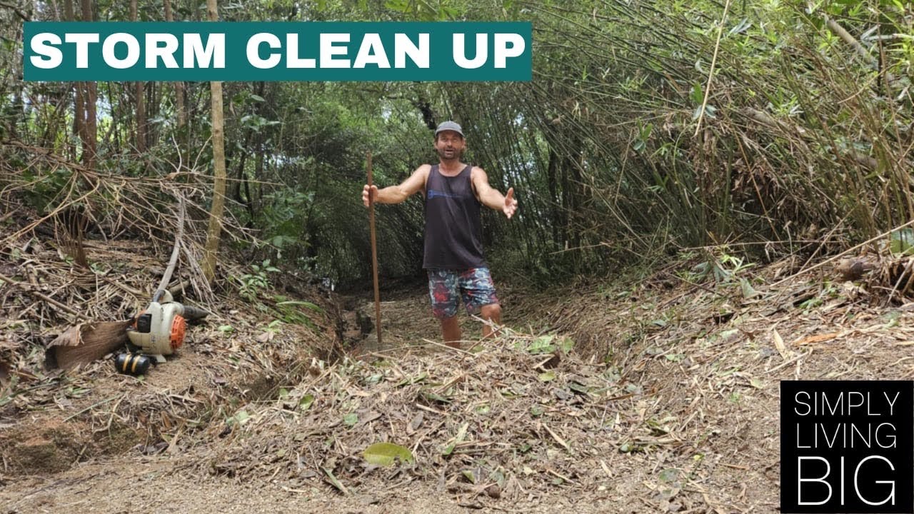 Storm clean up - YouTube