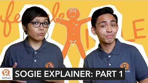 EXPLAINER Part 1: What you need to know about SOGIE