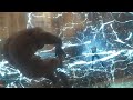 Marvel's Spider-Man 2 - Miles is pissed off!