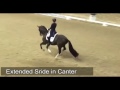 Charlotte Dujardin - types of Dressage movements