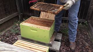 Bee Hive Inspection June 2022 by Days Well Spent 1,233 views 1 year ago 6 minutes, 8 seconds