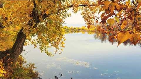 Tao Te Ching meditation by Lao Tzu Chapter 81, True words do not sound beautiful