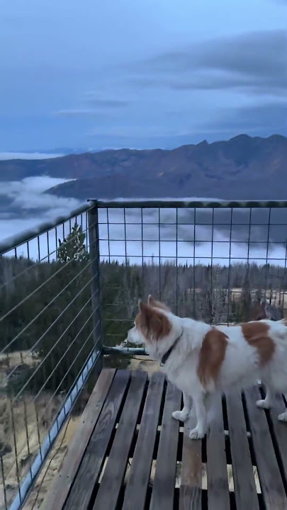 no one takes my spot on my days off! The towers are triangulated and we rotate days off so someone